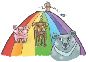 Illustration von einem Bären, einem Hund, einem Schwein und einem Affen auf einem Regenbogen aus dem Vorlesebuch Schnauze voll von Lisa Aigelsperger und Zwergenstark