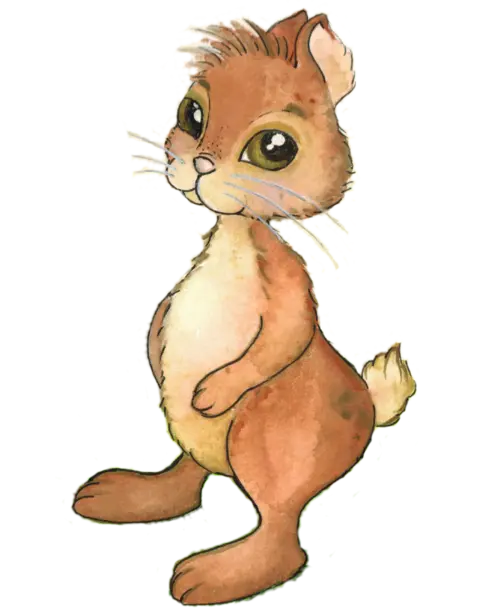 Illustration von einem Hasen mit kurzen Ohren