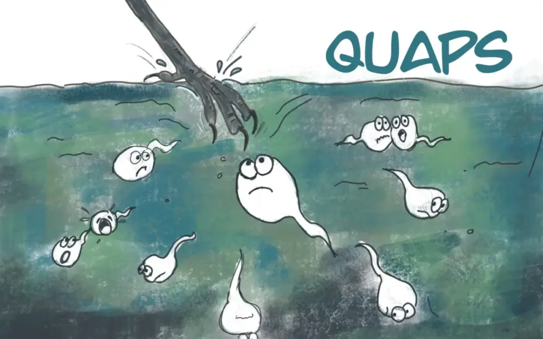 Quaps
