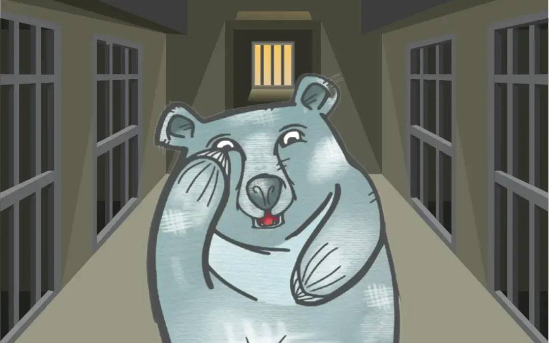 Der Mondbär