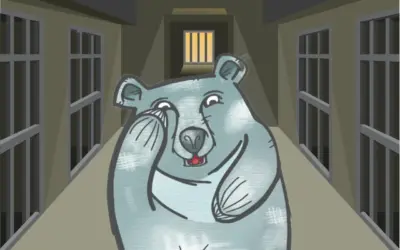 Der Mondbär