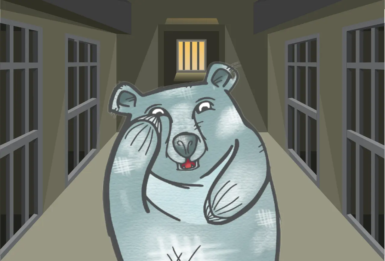 Beitragsbild zu dem zweiten Kapitel "Der Mondbär" aus dem Kinderbuch "Schnauze voll - Vier Tiere und die Freiheit", ein Vorlesebuch für Kinder ab 6 Jahren über Tiere, Freiheit, Tierschutz und Tierrechte von Lisa Aigelsperger und Zwergenstark