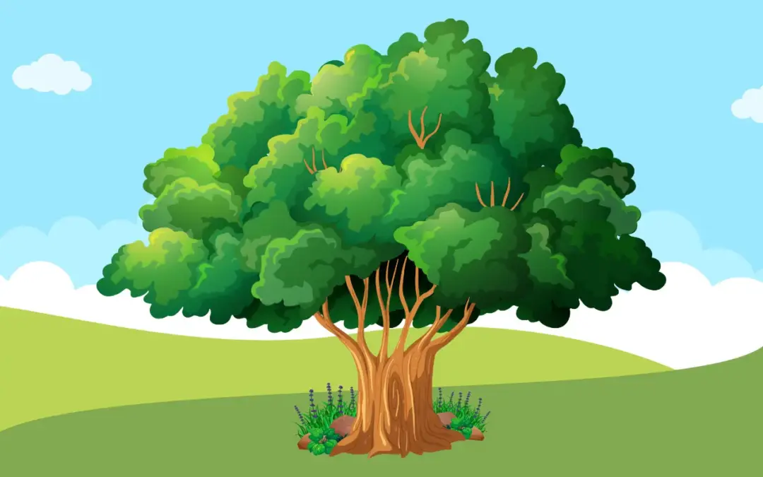 Der Baum der Weisheit
