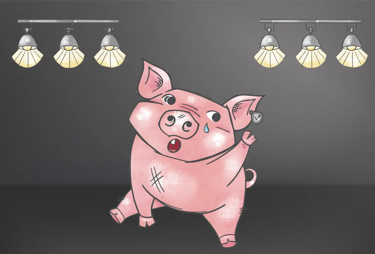 Beitragsbild zu dem dritten Kapitel "Das arme Schwein" aus dem Kinderbuch "Schnauze voll - Vier Tiere und die Freiheit", ein Vorlesebuch für Kinder ab 6 Jahren über Tiere, Freiheit, Tierschutz und Tierrechte von Lisa Aigelsperger und Zwergenstark