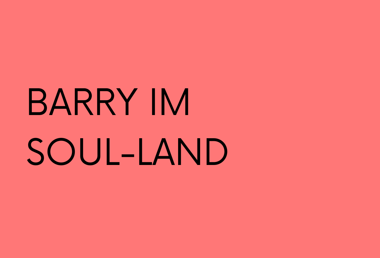 Beitragsbild der Geschichte "BARRY IM SOUL-LAND", SoulStory Schreibwettbewerb von dem Soulbuddies e.V.