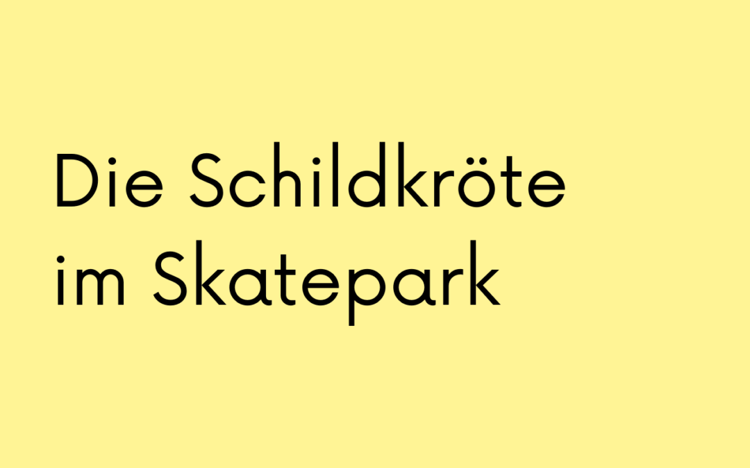 Die Schildkröte im Skatepark