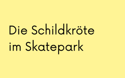 Die Schildkröte im Skatepark
